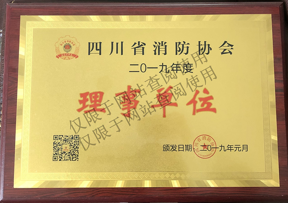 四川省消防协会2019年理事单位